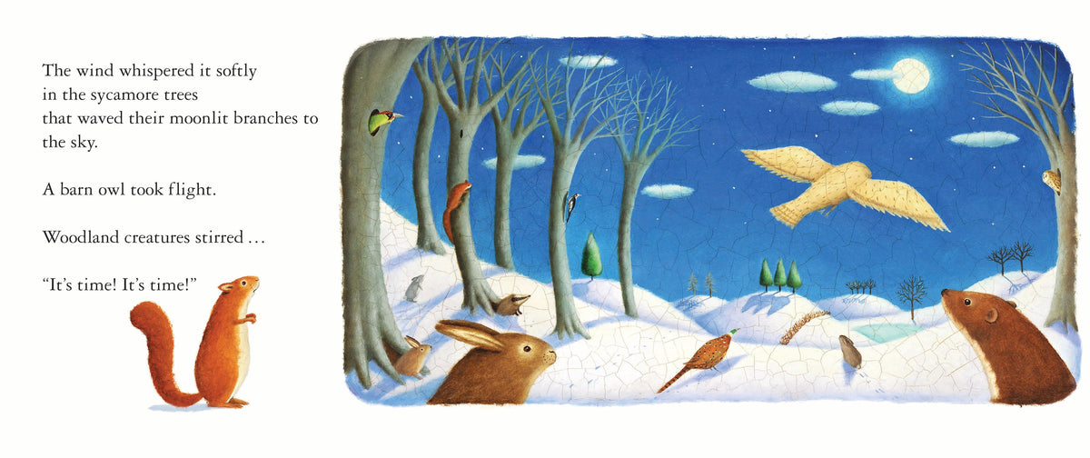 Song of the Stars: A Christmas Story