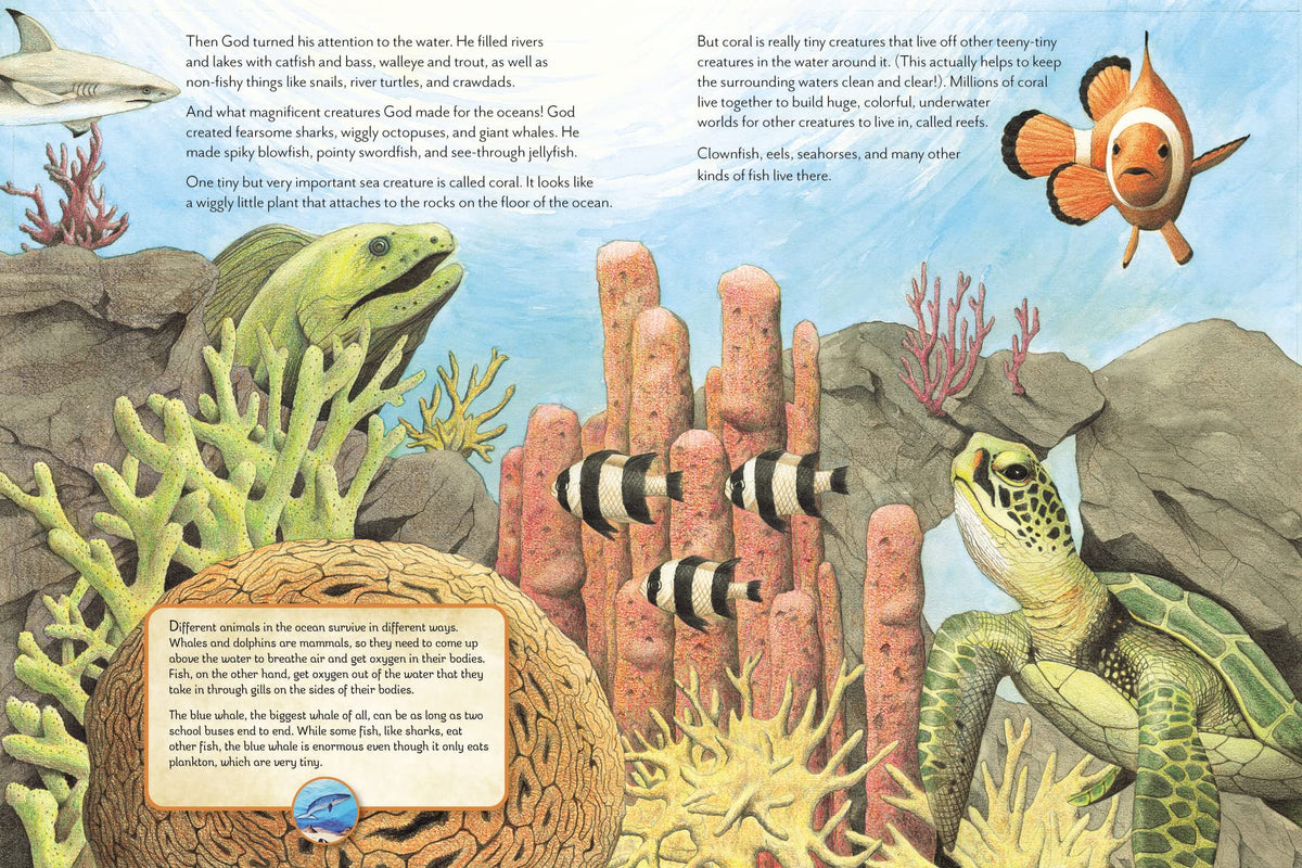The Things God Made: Explore God’s Creation through the Bible, Science, and Art