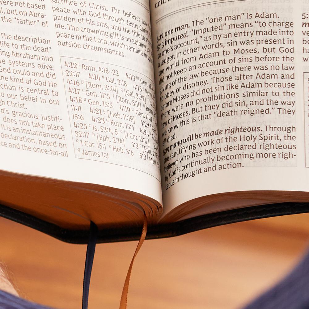 NKJV, Foundation Study Bible, Red Letter Edition: Holy Bible, New King James Version