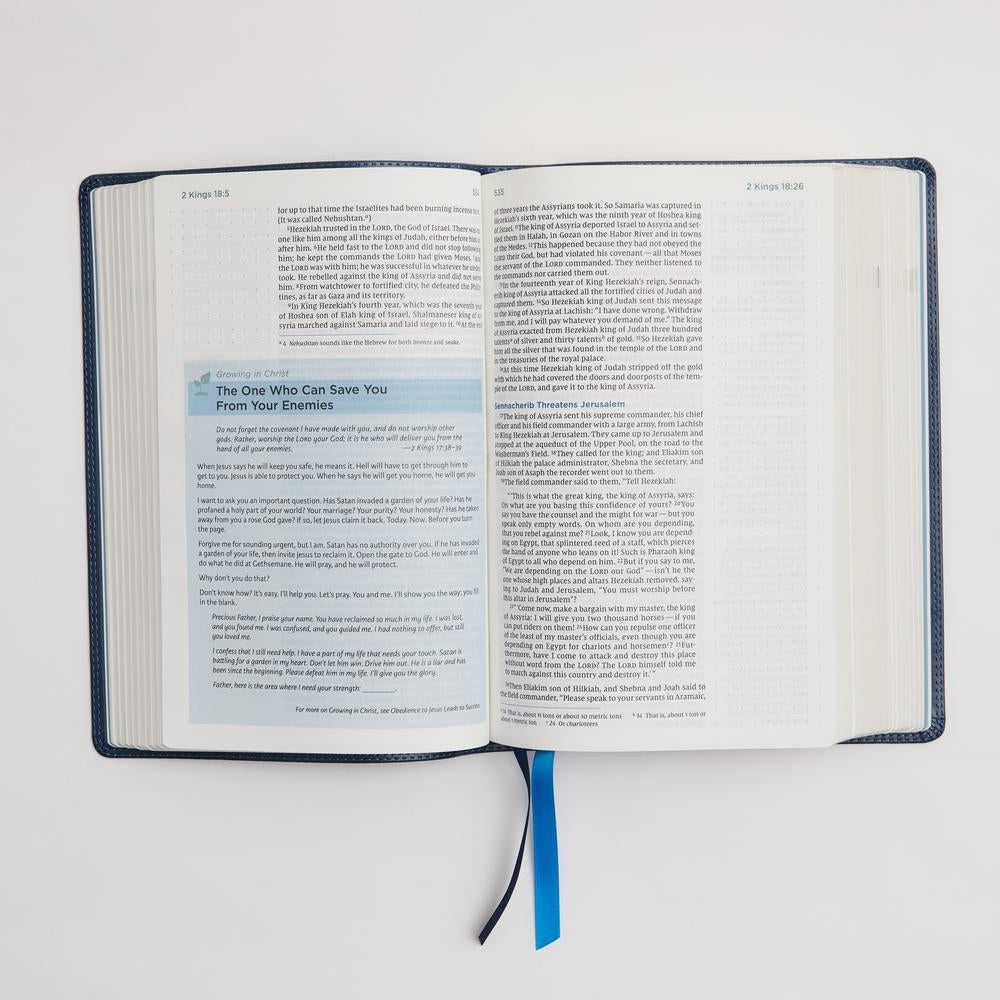 NIV, Lucado Encouraging Word Bible, Comfort Print: Holy Bible, New International Version