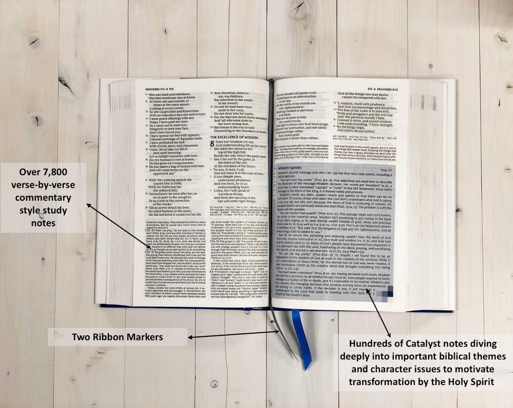 NKJV, Wiersbe Study Bible, Red Letter Edition, Comfort Print: Be Transformed by the Power of God’s Word