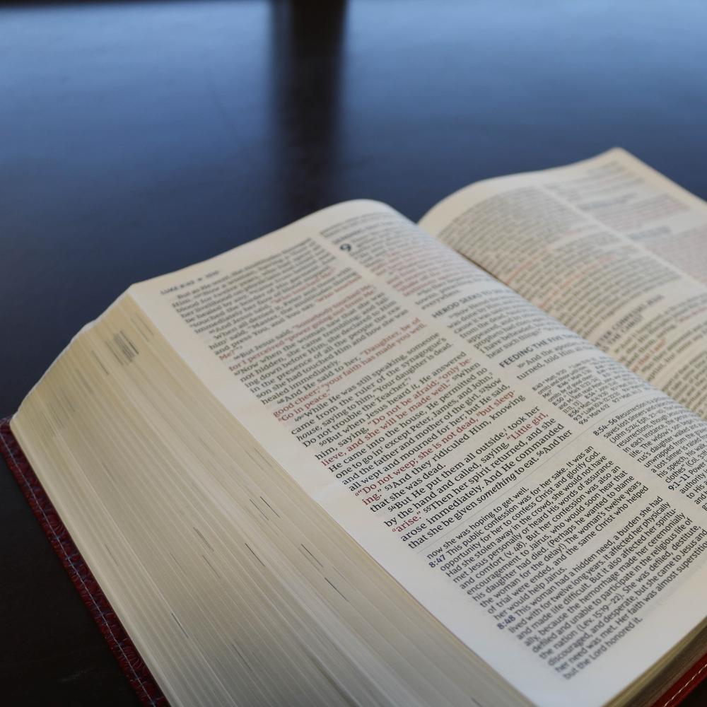 NKJV, Wiersbe Study Bible, Red Letter Edition, Comfort Print: Be Transformed by the Power of God’s Word