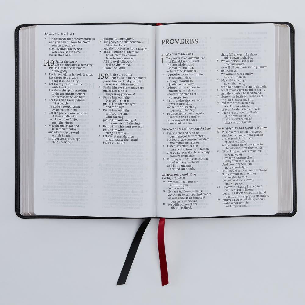 NET Bible, Thinline Large Print, Comfort Print: Holy Bible