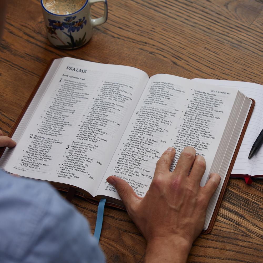 NET Bible, Thinline Large Print, Comfort Print: Holy Bible