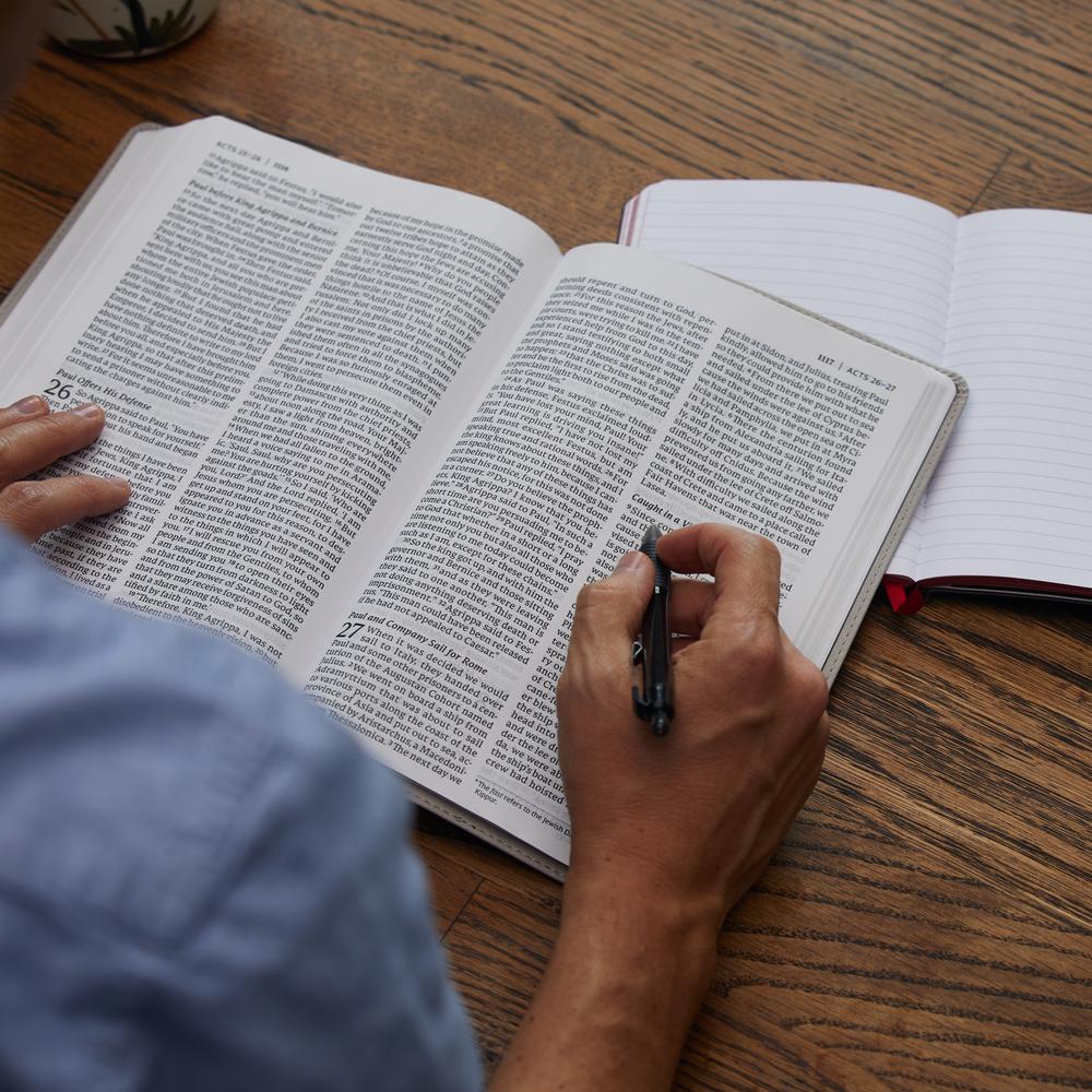 NET Bible, Thinline Large Print, Comfort Print: Holy Bible