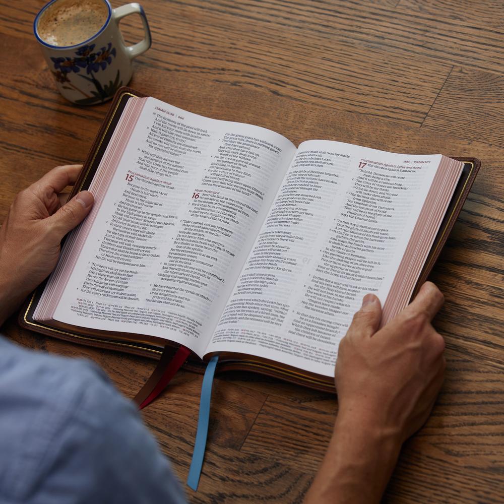 NKJV, Thinline Reference Bible, Large Print, Premier Collection, Comfort Print: Holy Bible, New King James Version