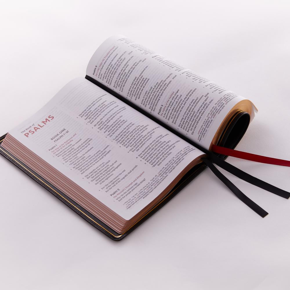 NKJV, Thinline Reference Bible, Large Print, Premier Collection, Comfort Print: Holy Bible, New King James Version