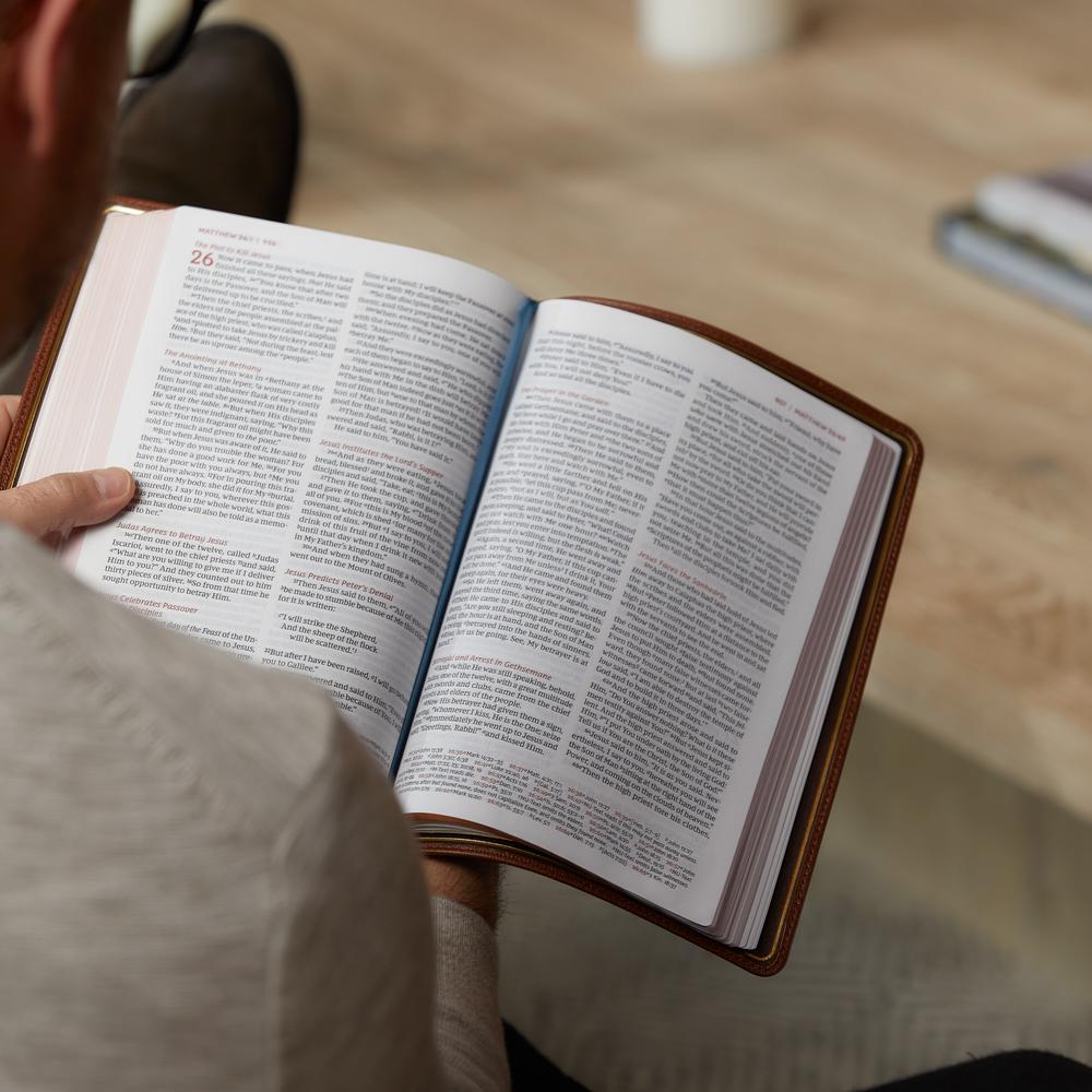 NKJV, Thinline Reference Bible, Large Print, Premier Collection, Comfort Print: Holy Bible, New King James Version