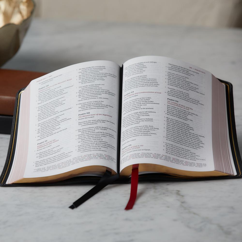 NKJV, Thinline Reference Bible, Large Print, Premier Collection, Comfort Print: Holy Bible, New King James Version