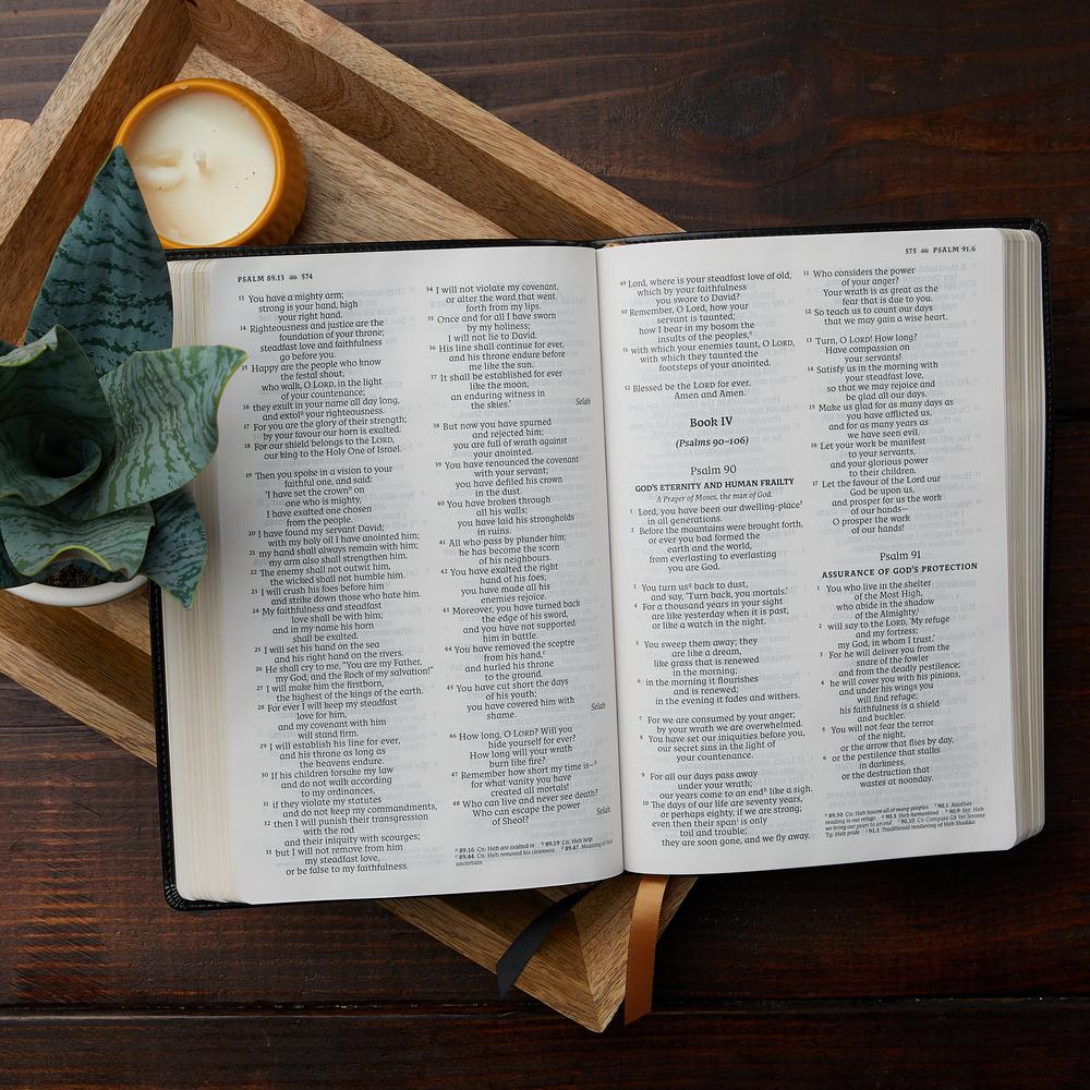 NRSV, Catholic Bible, Thinline Edition, Comfort Print: Holy Bible