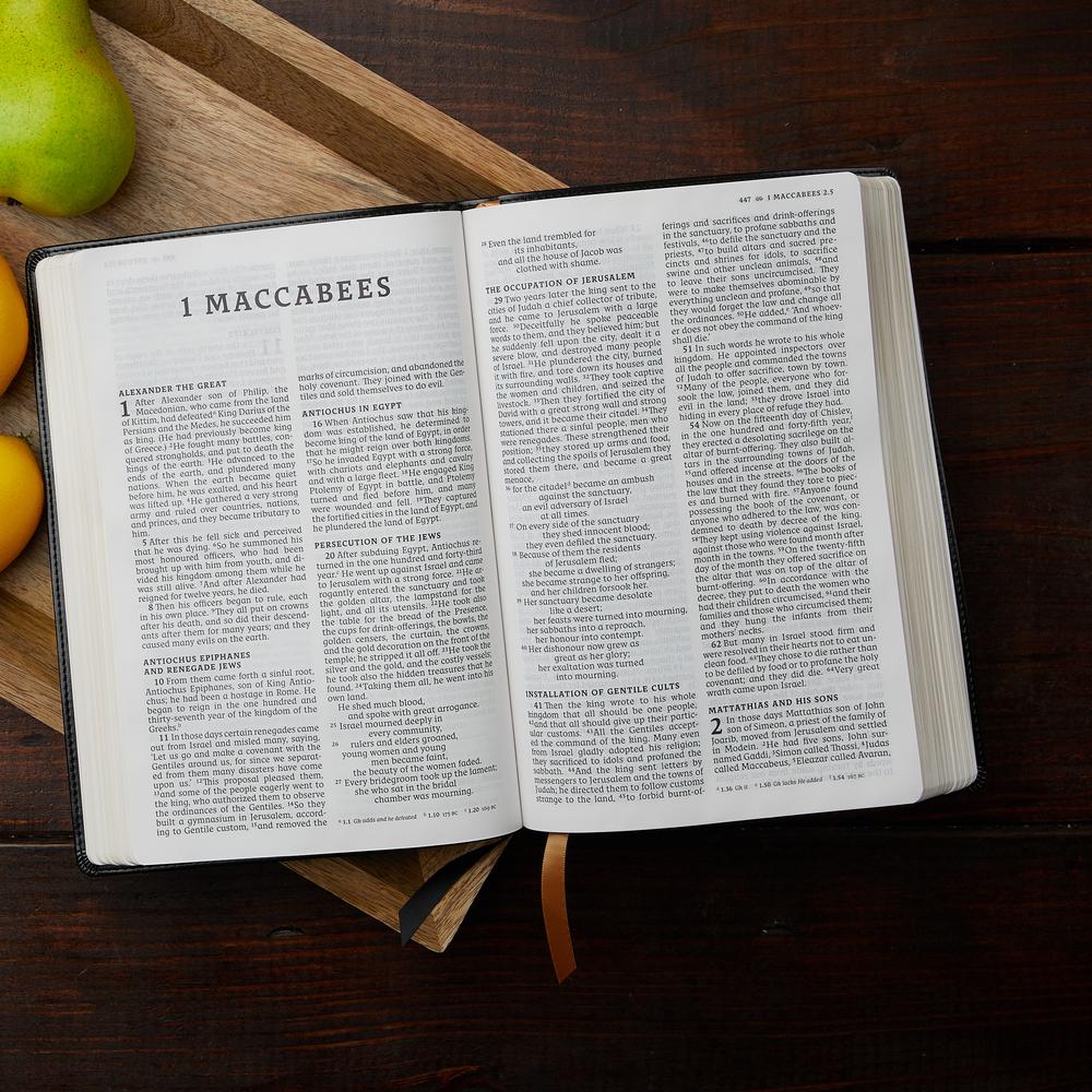 NRSV, Catholic Bible, Thinline Edition, Comfort Print: Holy Bible