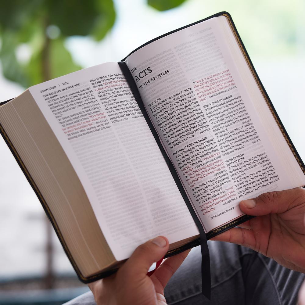 NKJV, End-of-Verse Reference Bible, Personal Size Large Print, Premium Goatskin Leather, Brown, Premier Collection, Red Letter, Comfort Print: Holy Bible, New King James Version