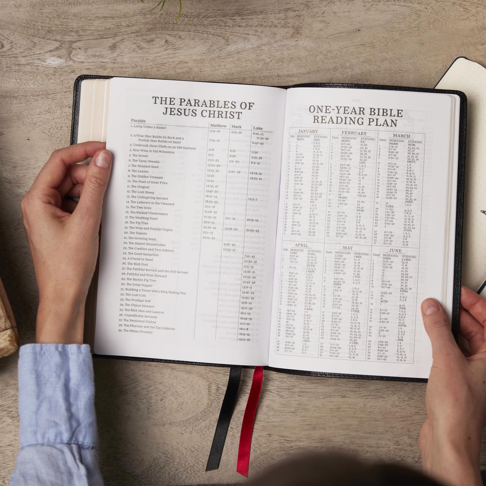 KJV, Paragraph-style Large Print Thinline Bible, Red Letter, Comfort Print
