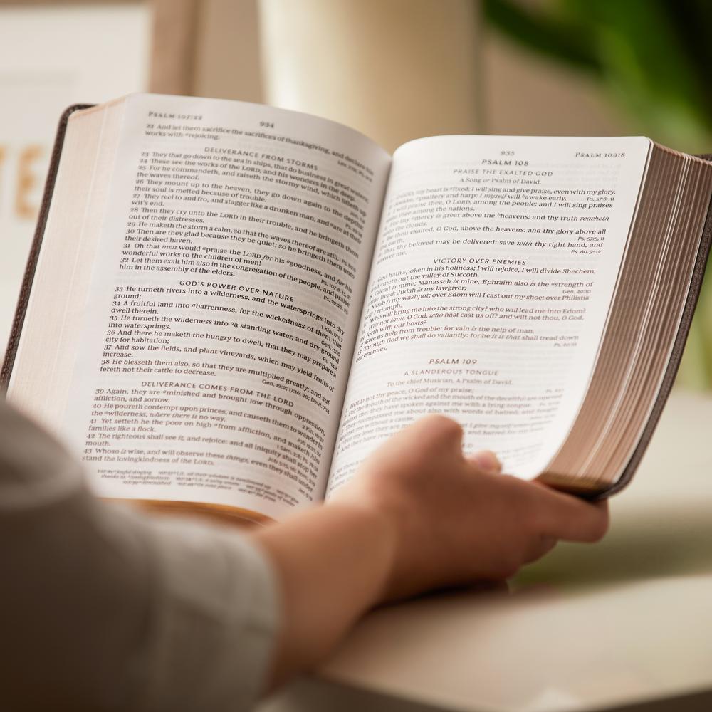KJV, Personal Size Large Print Single-Column Reference Bible, Red Letter Edition, Comfort Print