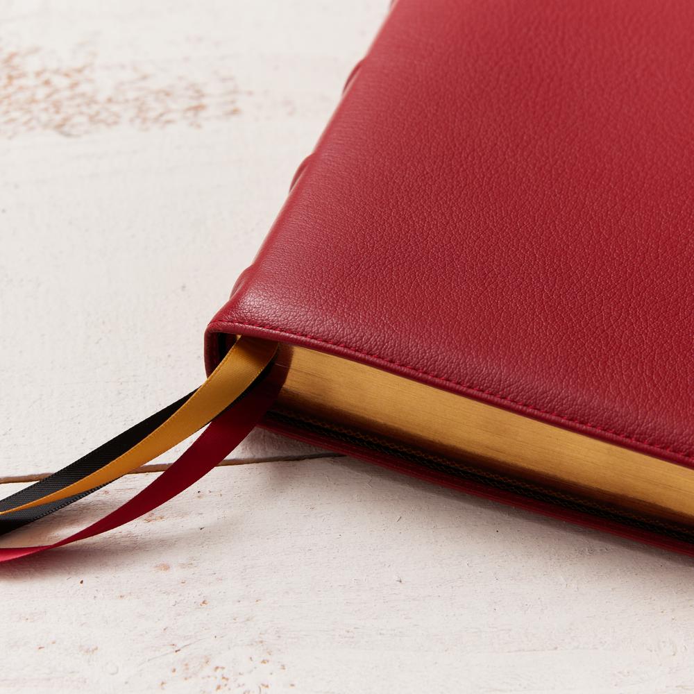 KJV, Personal Size Large Print Single-Column Reference Bible, Premium Goatskin Leather, Red, Premier Collection, Red Letter, Comfort Print