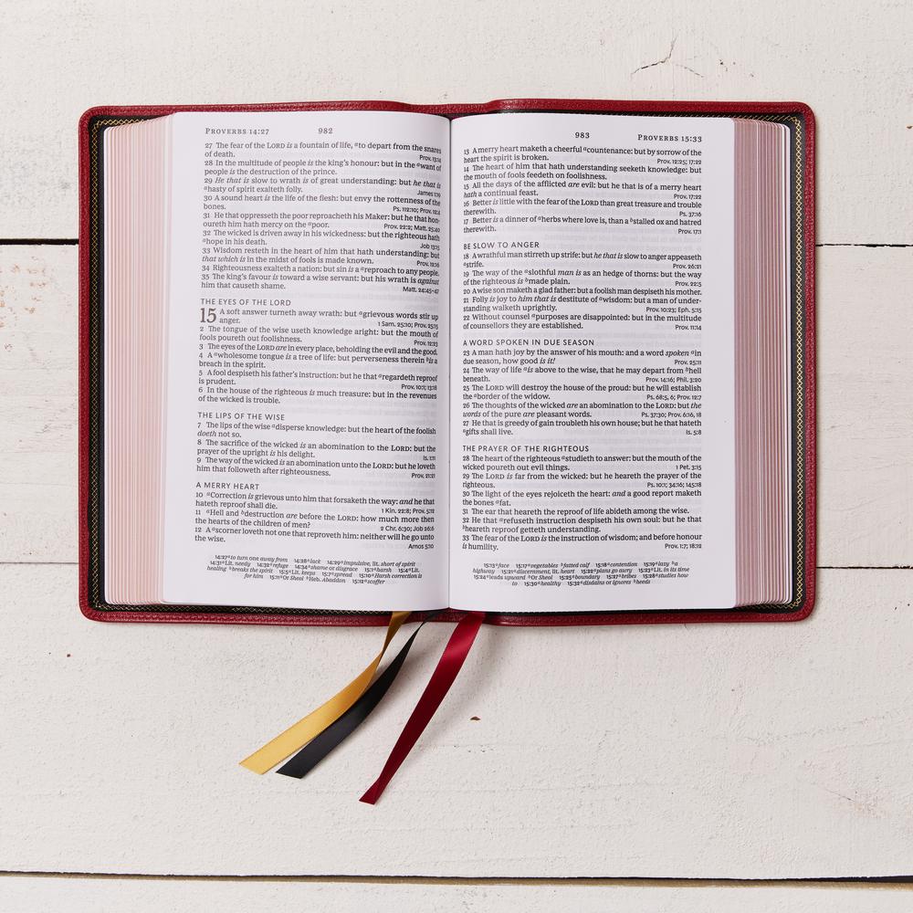 KJV, Personal Size Large Print Single-Column Reference Bible, Premium Goatskin Leather, Red, Premier Collection, Red Letter, Comfort Print