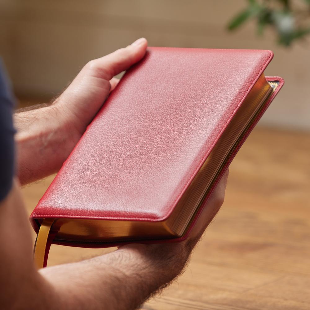 KJV, Personal Size Large Print Single-Column Reference Bible, Premium Goatskin Leather, Red, Premier Collection, Red Letter, Comfort Print