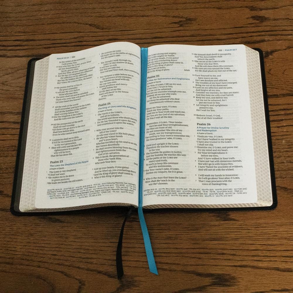 NKJV, Large Print Thinline Reference Bible, Blue Letter, Maclaren Series, Comfort Print: Holy Bible, New King James Version
