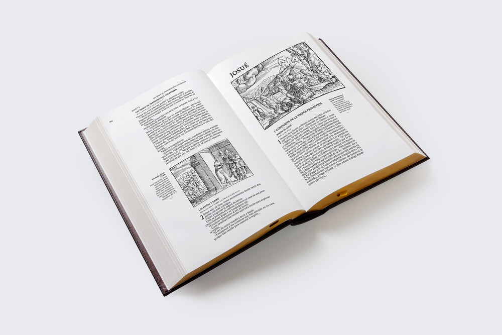 Biblia Católica, Ilustrada, Piel genuina, Café, Comfort Print