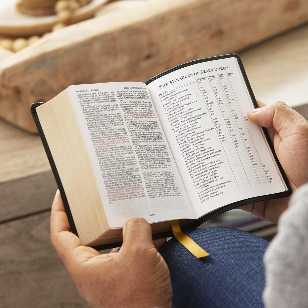KJV Holy Bible, Compact Reference Bible, 43,000 Cross-References, Red Letter, Comfort Print