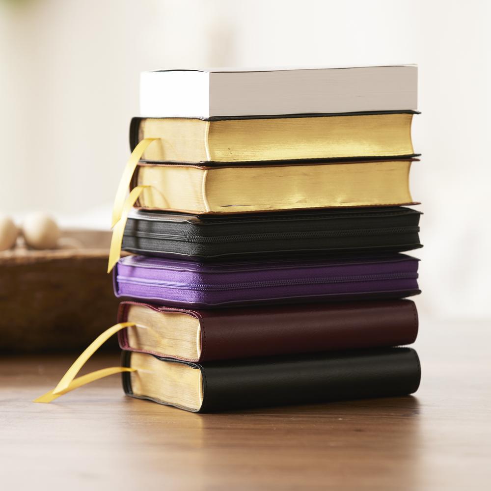 KJV Holy Bible, Compact Reference Bible, 43,000 Cross-References, Red Letter, Comfort Print