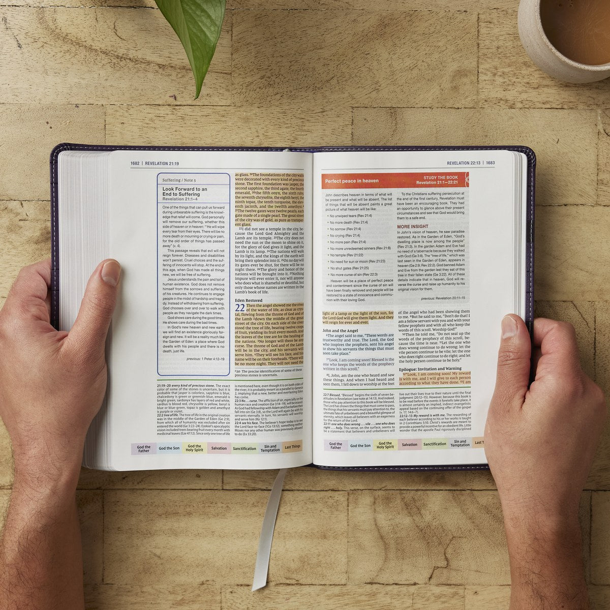 Color Code Study Bible, Revealing God's Truth Color by Color (NIV, Red Letter, Comfort Print)