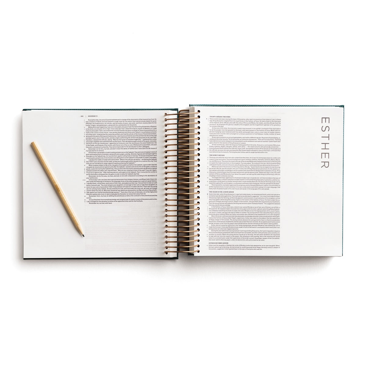 CSB, Spiral-bound Illustrating Bible, Leathersoft Spiral, Green: Draw, Write, and Reflect Your Way Through Scripture