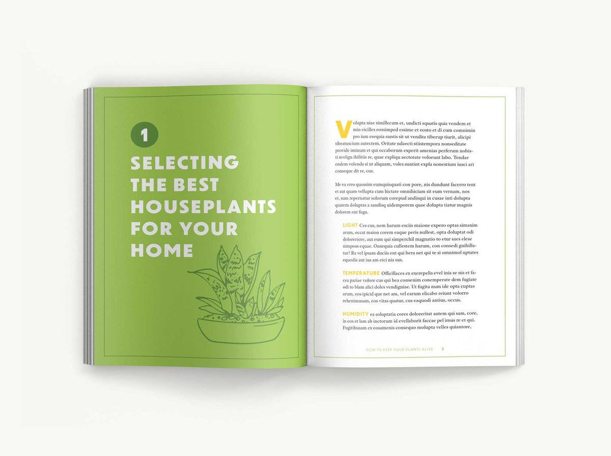 How to Keep Your Plants Alive: 50 Plants That Are Impossible to Kill