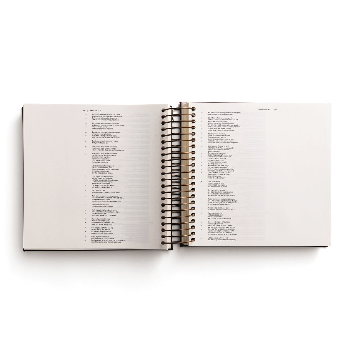 CSB, Spiral-bound Illustrating Bible, Leathersoft Spiral, Cranberry: Draw, Write, and Reflect Your Way Through Scripture