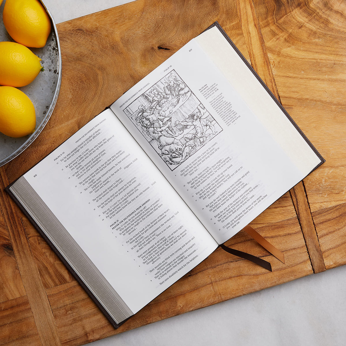 NRSVCE, Illustrated Catholic Bible, Comfort Print: Holy Bible