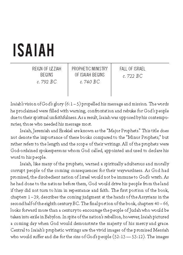 The Jesus Bible Journal, Isaiah, NIV, Paperback, Comfort Print