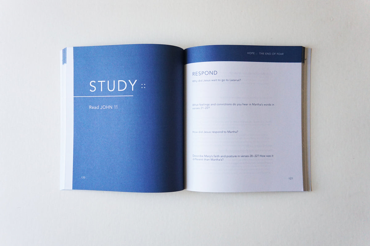 Nothing to Prove Bible Study Guide plus Streaming Video: Eight-Session Bible Study in the Gospel of John