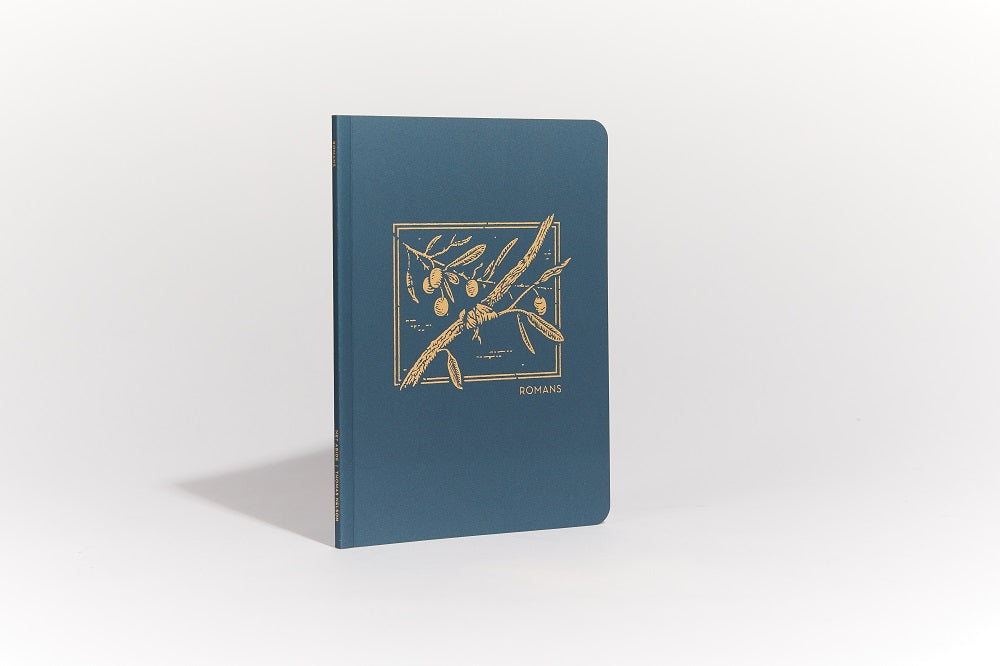 NET Abide Bible Journal - Romans, Paperback, Comfort Print: Holy Bible