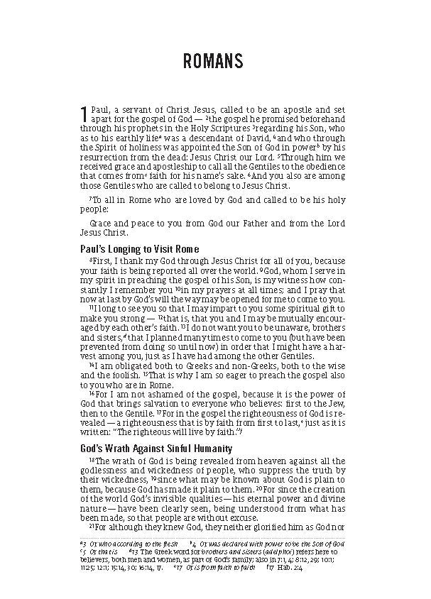 The Jesus Bible Journal, Romans, NIV, Paperback, Comfort Print