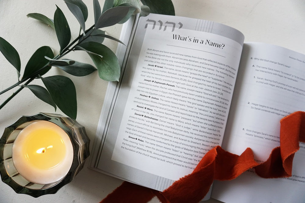 The God of the How and When Bible Study Guide plus Streaming Video