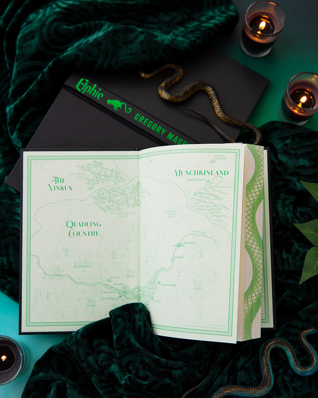 Elphie (Deluxe Limited Edition): A Wicked Childhood