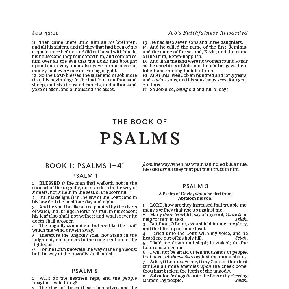 KJV, Deluxe Gift Bible, Red Letter Edition, Comfort Print