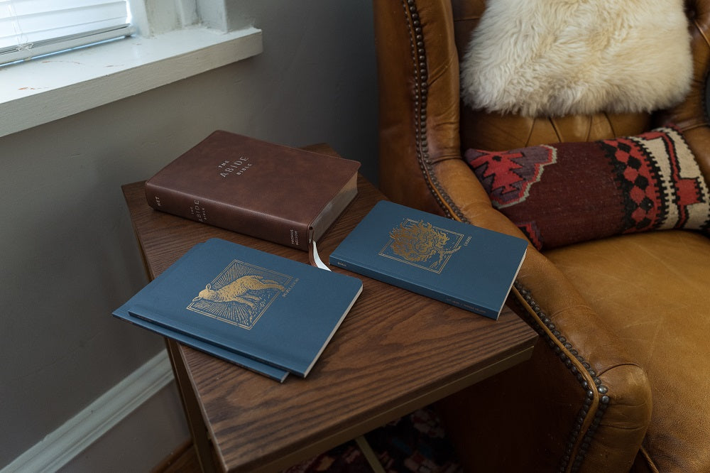 NET Abide Bible Journal - Daniel, Paperback, Comfort Print: Holy Bible