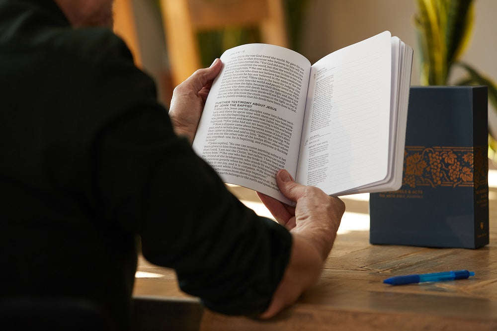 NET Abide Bible Journal - Daniel, Paperback, Comfort Print: Holy Bible